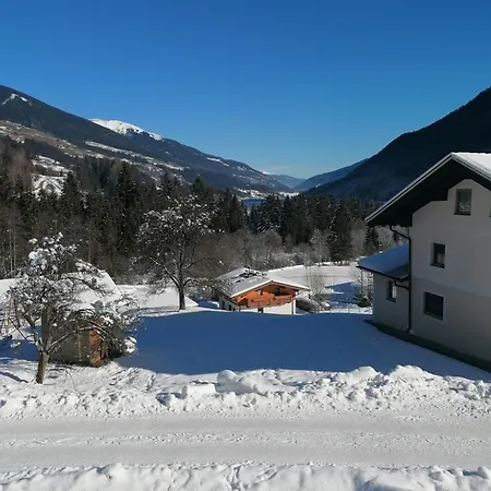 Oberschlassbergbauer Wald im Pinzgau