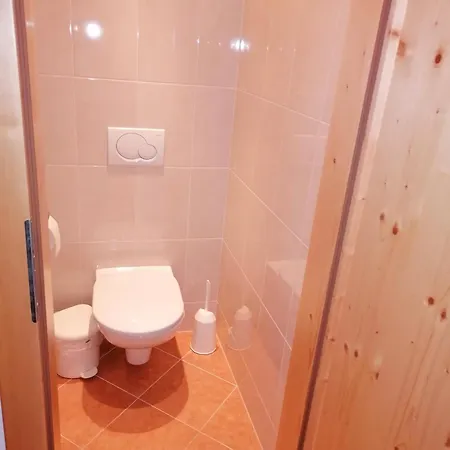 Oberschlassbergbauer * Wald im Pinzgau