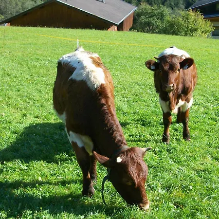 Apartment Oberschlassbergbauer *