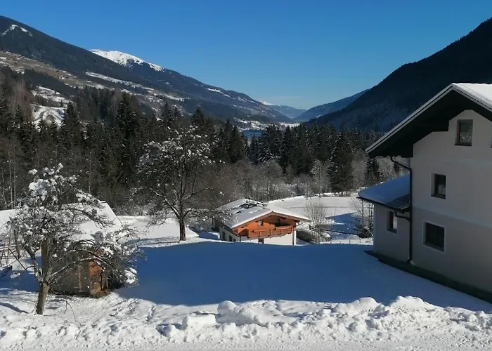 Oberschlassbergbauer Wald im Pinzgau