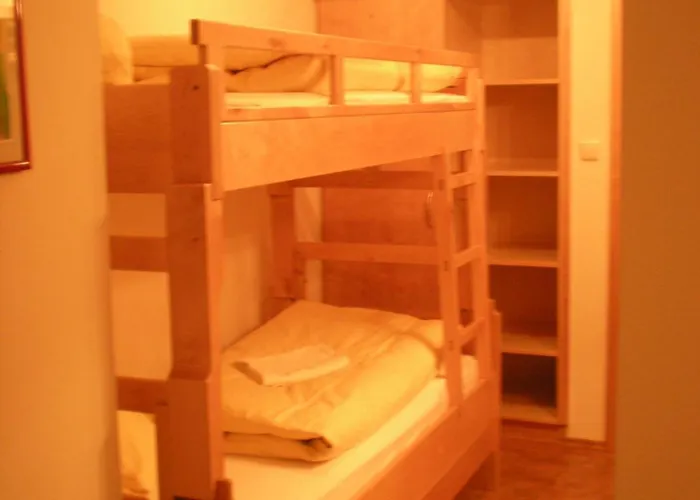 Oberschlassbergbauer Wald im Pinzgau