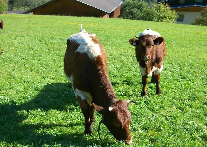 Appartamento Oberschlassbergbauer *